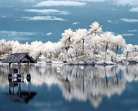 Showcasing Photography Styles And Techniques Infrared Photography