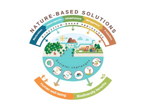 Nature Based Solutions BuildERS