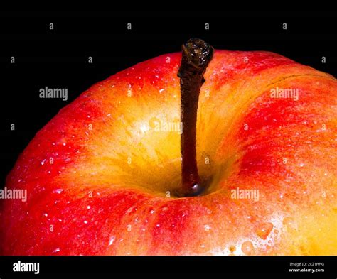 Close Up Of Red Delicious Apple With Water Droplets Isolated On Black