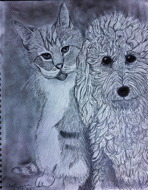 Dog and Cat pencil sketch by sejphotography on DeviantArt