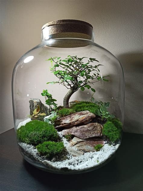 A Bonsai Tree In A Glass Jar Filled With Rocks And Moss On A Table