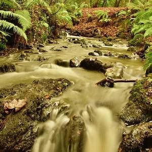 Twisel Burn Autumnal Waters In Color Photograph By Neil R Finlay Fine