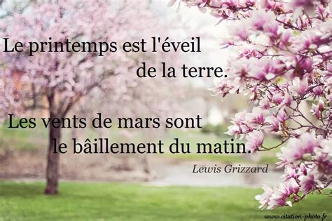 Citations Printemps Pour Inspirer Et Motiver