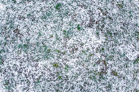 Premium Photo Snow On The Grass Texture