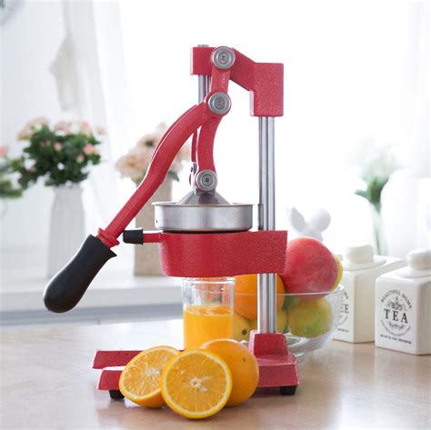 Professional Grade Juicers At Cynthia Barajas Blog