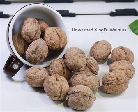 Export Walnut In Shell Shelled Peeled 25kg Bag 10 Kg Carton Xingfu