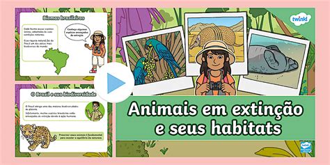 Animais Em Extinção Capa Para Apresentação - 6