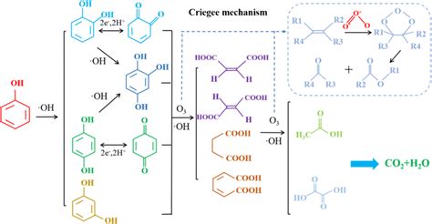 Proposed Pathway Of Phenol Degradation By Catalytic Ozonation Download Scientific Diagram