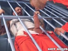 Hothouse Stiff Cocks In Prison Gay Porn Pornhub