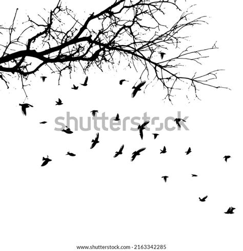 Realistic Illustration Silhouettes Three Birds Crows Stock Vector