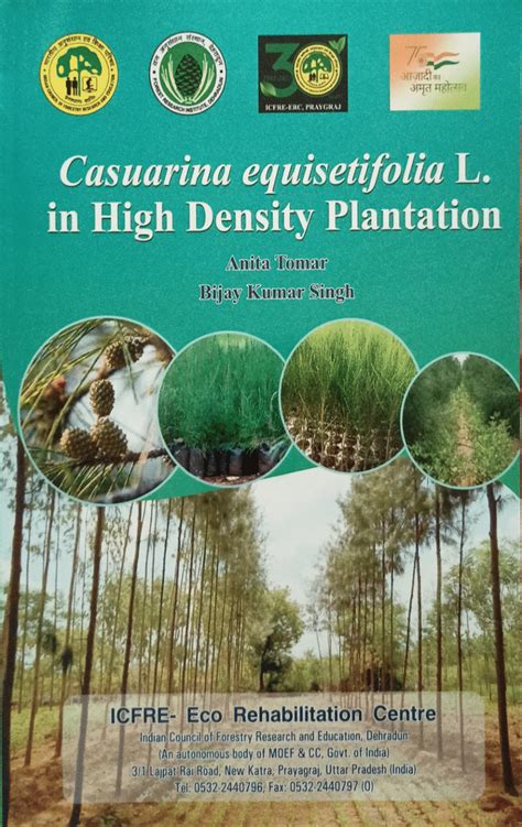 Pdf Casuarina Equisetifolia L In High Density Plantation