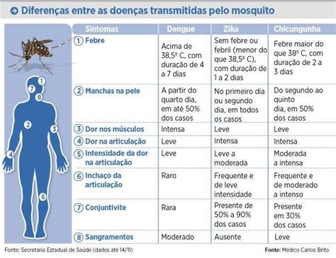 Confira as diferenças entre as doenças causadas pelo Aedes aegypti