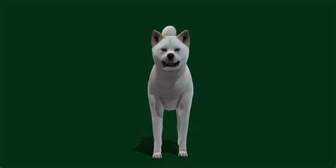 Kishu Inu Japan Dog Breed - FlippedNormals