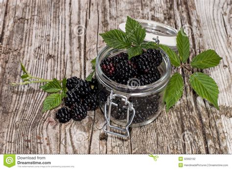 Fresh Blackberries In A Glass Stock Photo Image Of Leaf Fruit