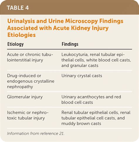 Acute Kidney Injury Diagnosis And Management Aafp