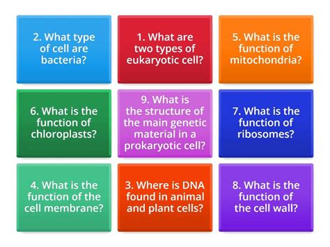 Gcse Biology Cell Structure And Function Quiz Flip Tiles