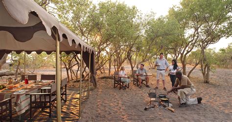 Chobe National Park Botswana Elephant Majesty And Ultimate Wildlife Safari