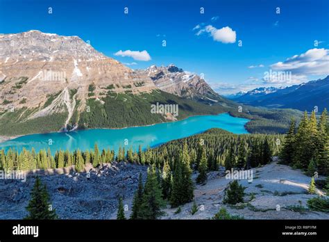 Alberta Banff Canada Peyto Lake Banff National Park Canadian Rockies Hi