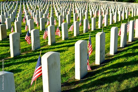 American Flags on Cemetery Stock Photo | Adobe Stock