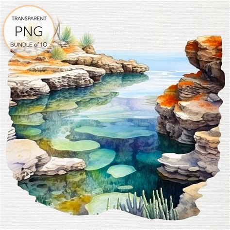 Set Of Watercolor Tidepools Clipart Pngs For Coastal Card Etsy