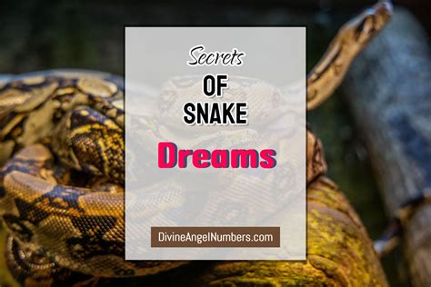 Dreams About Snakes: 25 Powerful Meanings Of Snake Dreams