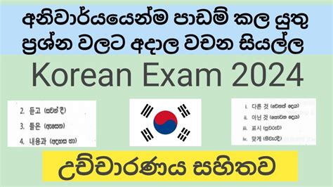 ප්‍රශ්න තේරුම් ගැනීමට අත්‍යවශ්‍යයම වචන සියල්ල Korean Exam 2024