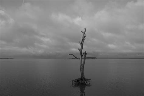 Assateague Kevin Lynam Photography