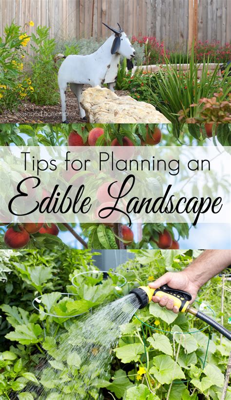 Tips For Planning An Edible Landscape In 2024 Edible Landscaping Edible Garden Growing