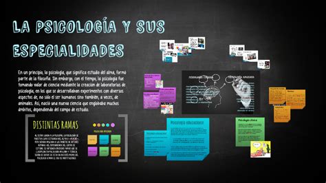 La Psicolog A Y Sus Especialidades By Adriana De La Cruz On Prezi