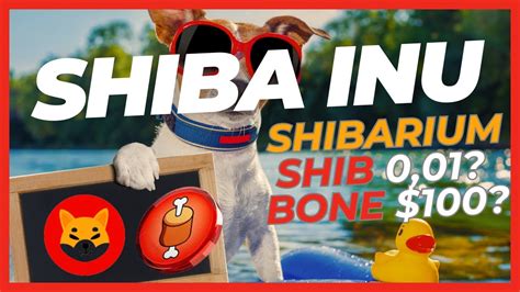 Shiba Inu Já Em 2 Lugar Hoje em busca do 0 01 Token Bone 100