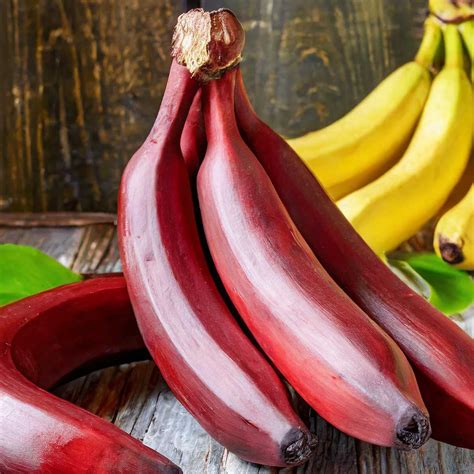 Fruit Peels Which Peels Are Edible And Beneficial To Eat