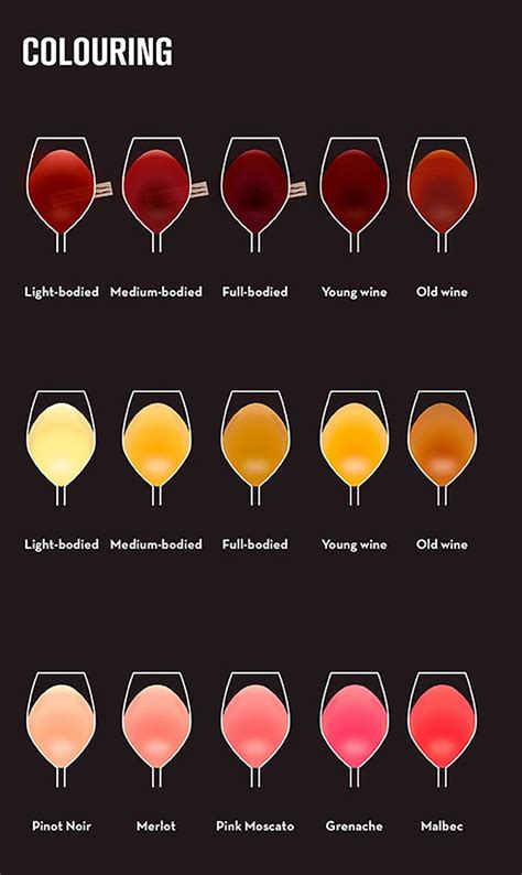 Know Your Wine A Beginners Guide To The Most Common Types Of Wine