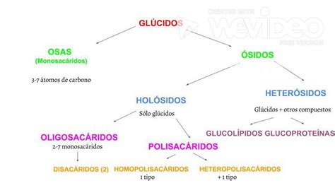 Clasificaci N De Los Gl Cidos Youtube