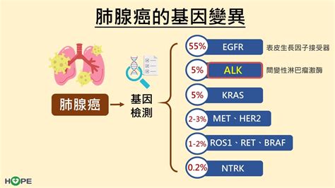 標靶扭轉晚期alk肺腺癌命運 5年存活率破六成