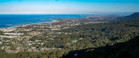 illawarra continues  outshine  regional areas capital cities