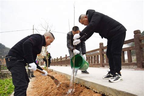 麻江：新春添新绿 干群植树忙活动义务发展