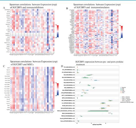 Figure 11 From Comprehensive Analysis Of Igf2bp3 With Expression Features Prognosis Immune