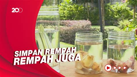 Masak Masak Tips Simpan Sayuran Di Kulkas Agar Tak Layu