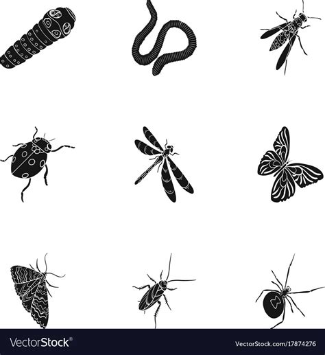 Beetle Wasp Bee Ant Fly Spider Mosquito Royalty Free Vector