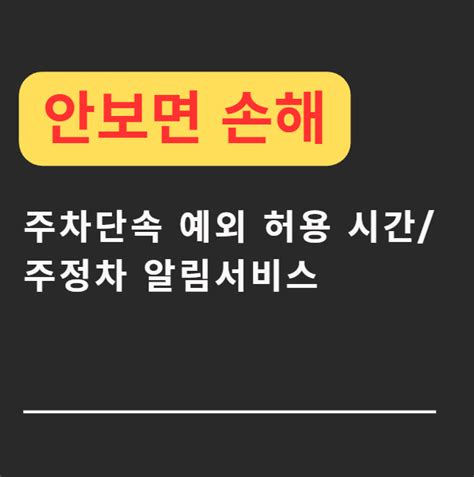 수원시 권선구 점심시간 주차단속 예외 허용 시간주정차 알림서비스안보면 손해