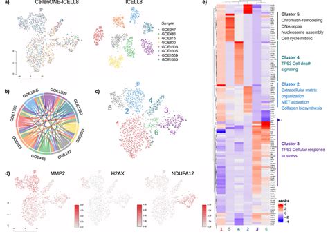 Analysis Of Transcriptional Heterogeneity Of Dermal Fibroblast Derived