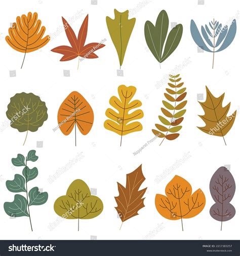 Collection Autumn Leaf Vector Illustration On 库存矢量图（免版税）2217383257 Shutterstock