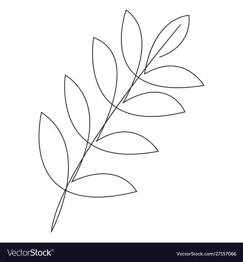 Leaves Line Drawing Np