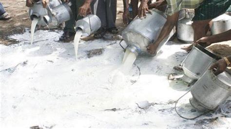 PFA disposes off 620 litres adulterated milk