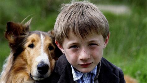 14 Great Family Dog Movies - Animal Corner