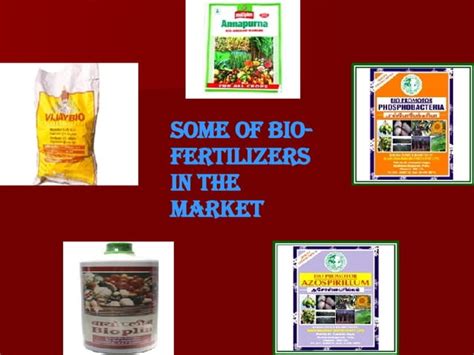 Biofertilizers