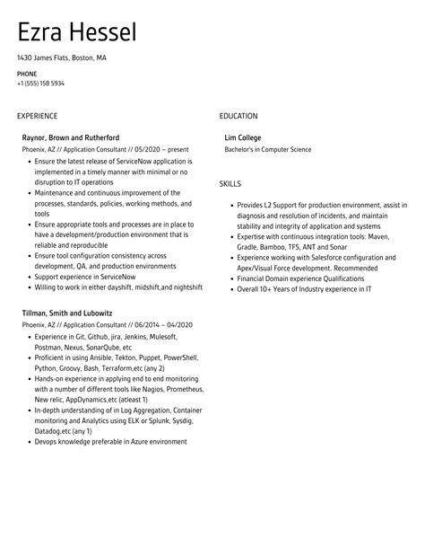 Application Consultant Resume Samples Velvet Jobs