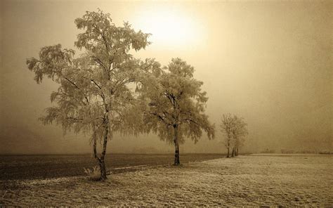 Sepia Wallpapers - Wallpaper Cave