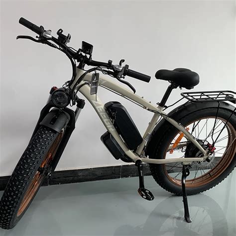 Factory Supply Zeegr Electric Bicycle 26 Inch 48v 1000w Dual Motor High