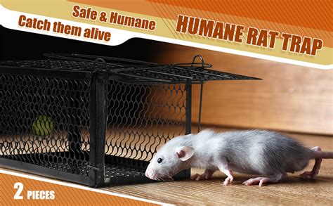 Amazon Qualirey Pcs Humane Rat Trap Chipmunk Rodent Trap Mouse